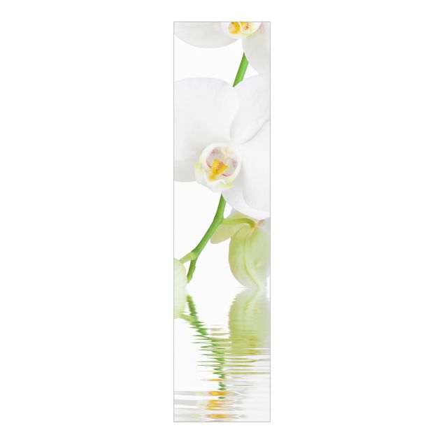 Schiebegardinen Blumen Wellness Orchidee - Weiße Orchidee