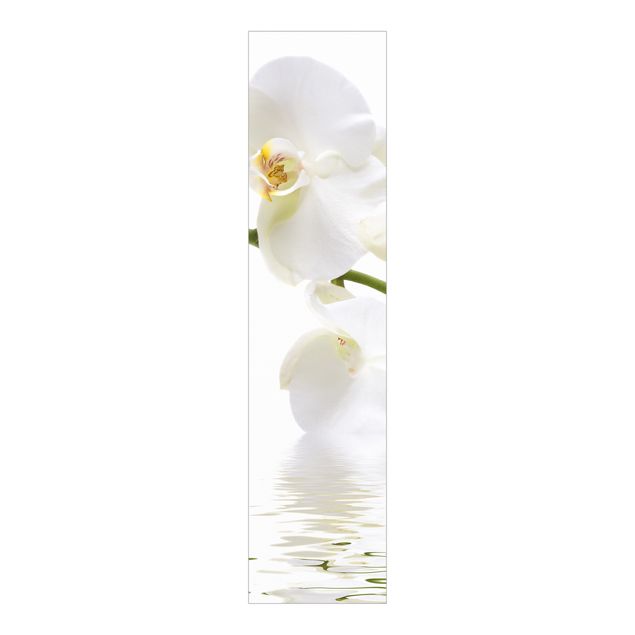 Schiebevorhang Blumen White Orchid Waters