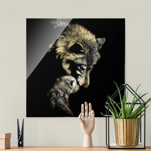 Glasbild schwarz-weiß Wolf vor Schwarz