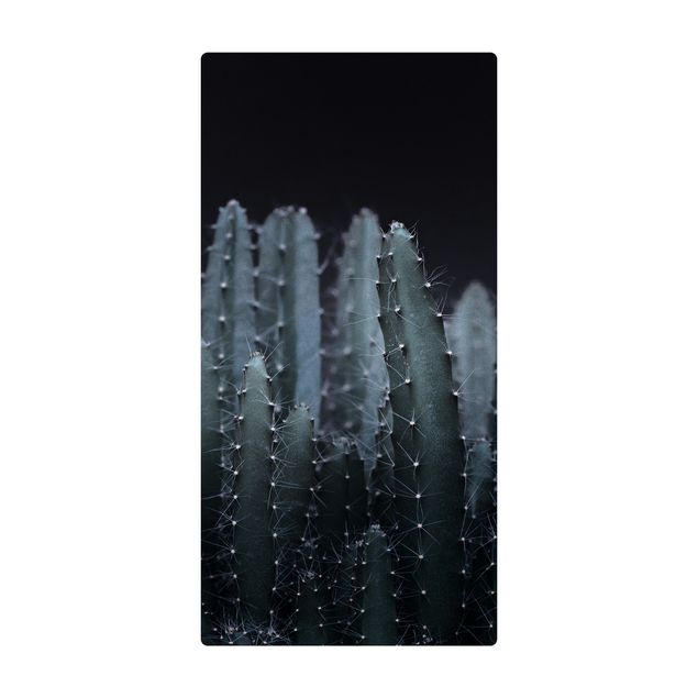 Kleine Teppiche Wüstenkaktus bei Nacht