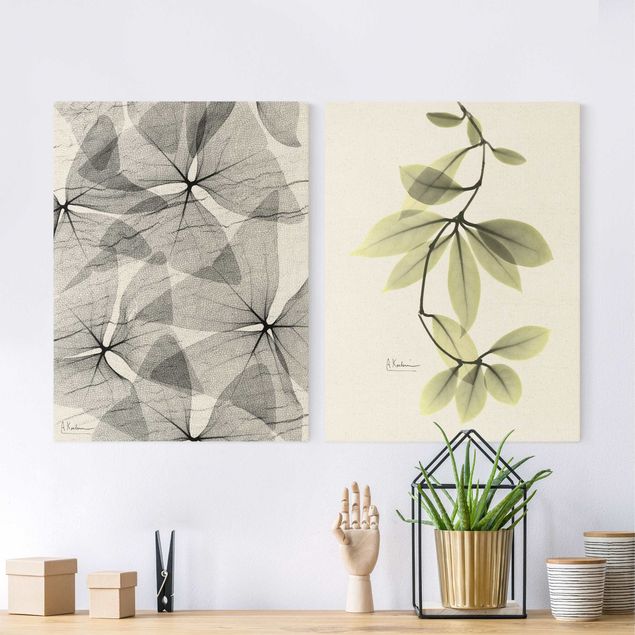 Blumenbilder auf Leinwand X-Ray - Dreiecksklee und Porzellanblumenblätter