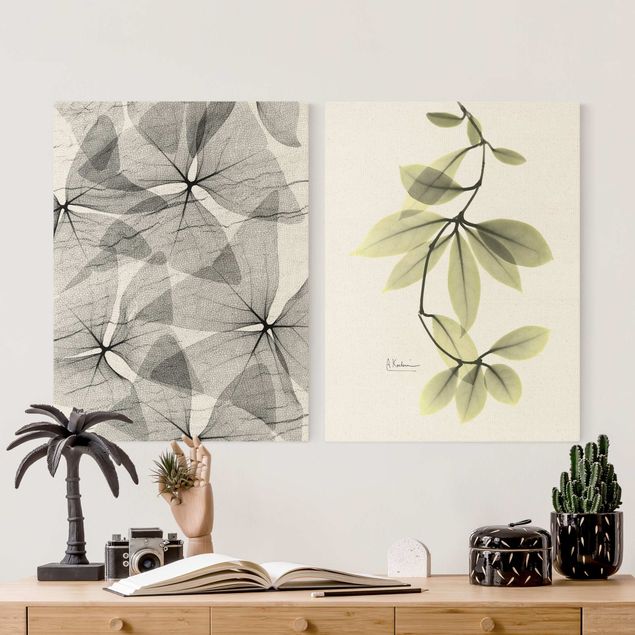 Wandbilder Grün X-Ray - Dreiecksklee und Porzellanblumenblätter
