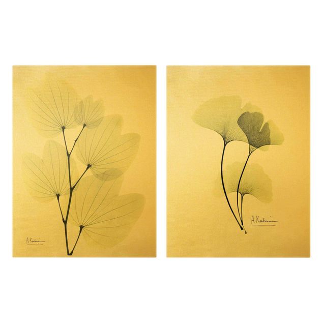 Wandbilder Blumen X-Ray - Orchideenbaumblätter & Ginko