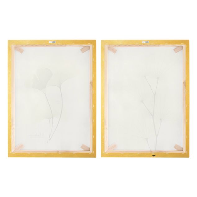 schöne Leinwandbilder X-Ray - Orchideenbaumblätter & Ginko