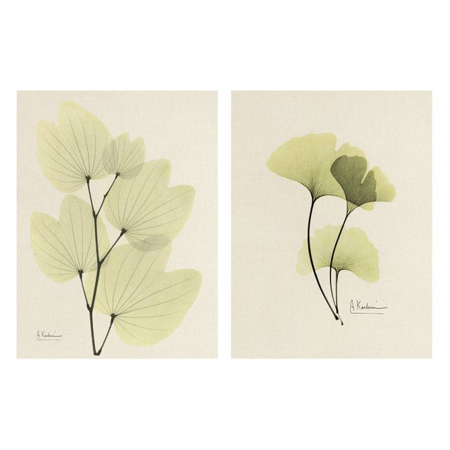Wandbilder Blumen X-Ray - Orchideenbaumblätter & Ginko