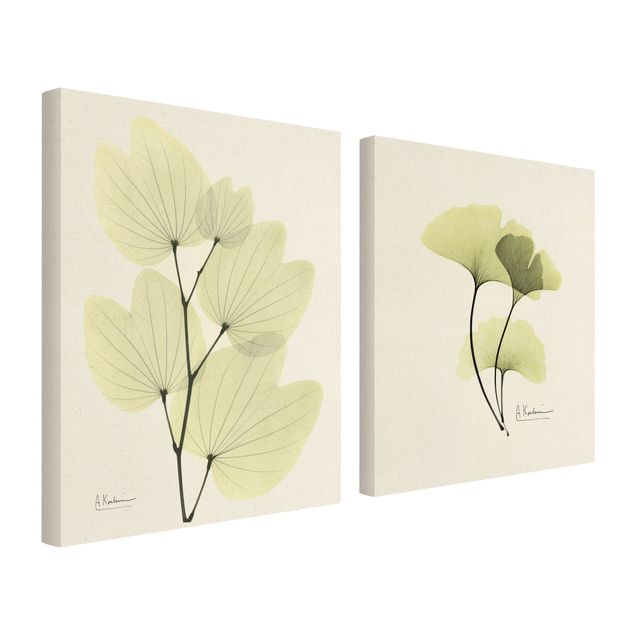 Wandbilder Grün X-Ray - Orchideenbaumblätter & Ginko