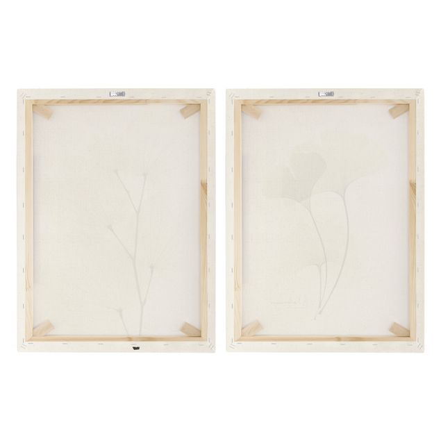 schöne Leinwandbilder X-Ray - Orchideenbaumblätter & Ginko