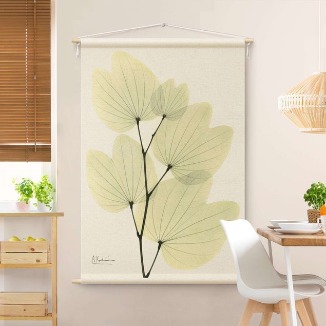 Wanddeko Küche X-Ray - Orchideenbaumblätter