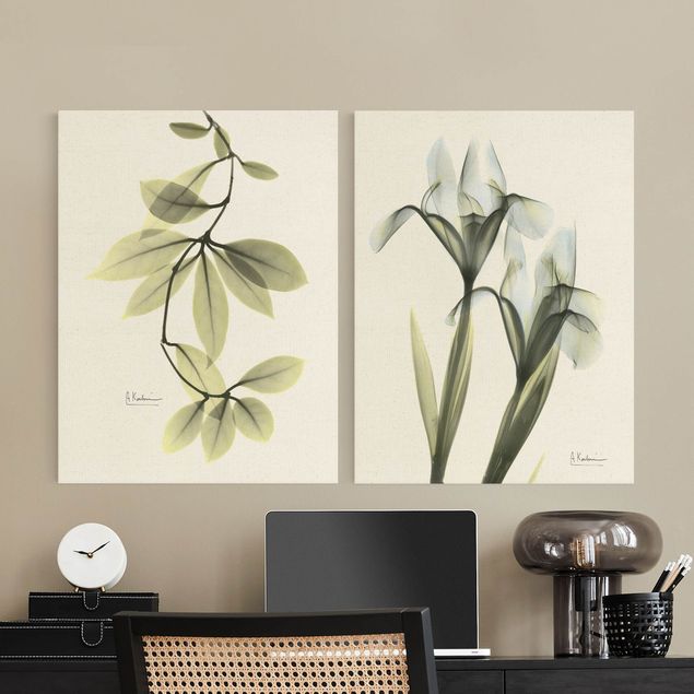 Wandbilder Grün X-Ray - Porzellanblumenblätter & Schwertlilie