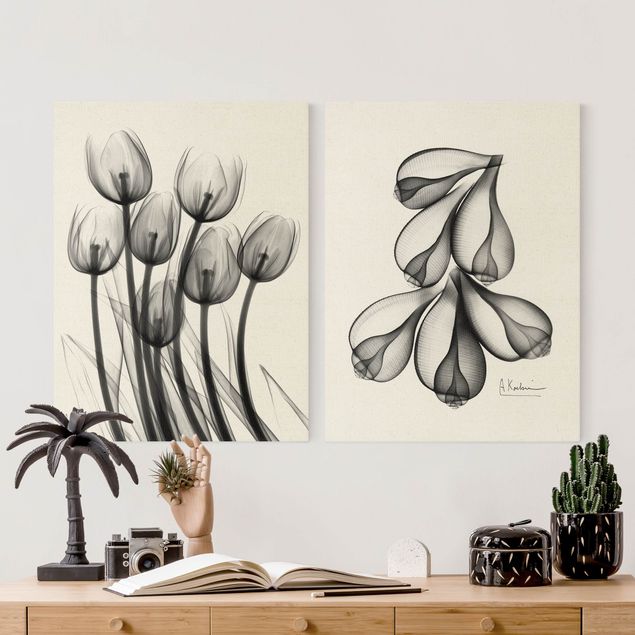 Wandbilder Schwarz-Weiß X-Ray - Tulpen & Feigenschalen