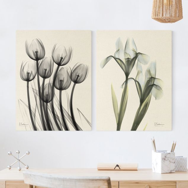 Leinwand Blumen X-Ray - Tulpen & Schwertlilie