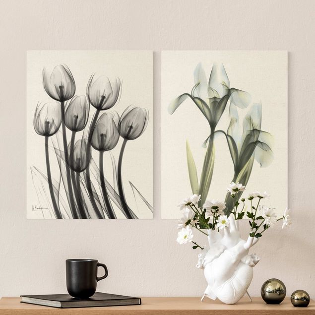 Wandbilder Grün X-Ray - Tulpen & Schwertlilie