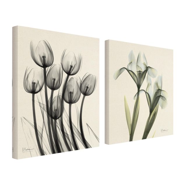 Leinwandbilder kaufen X-Ray - Tulpen & Schwertlilie