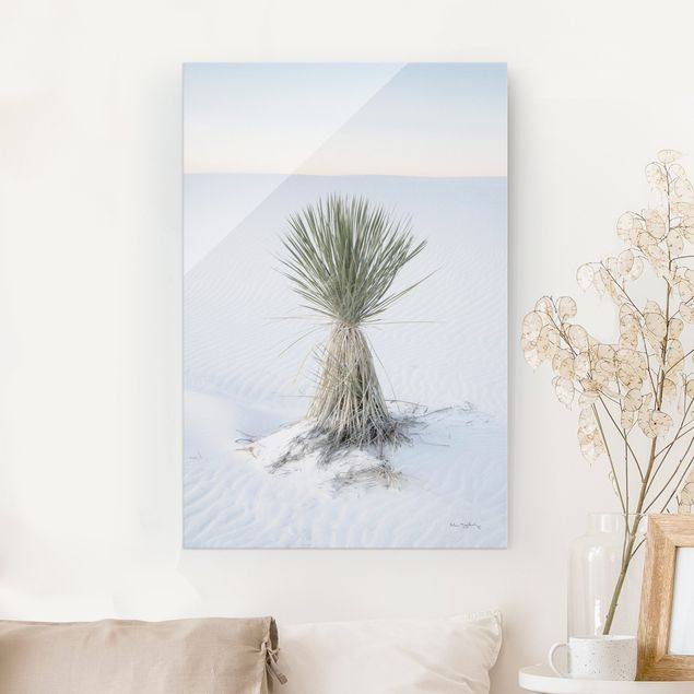 Glasbilder Dünen Yucca Palme in weißem Sand