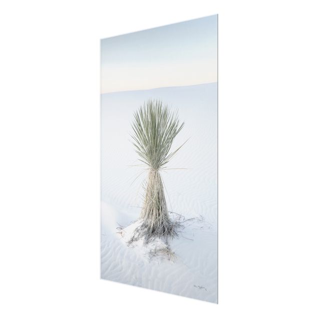 Wandbilder Blau Yucca Palme in weißem Sand