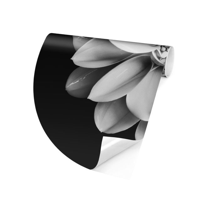 Blumentapete Zarte Dahlie in Schwarz-Weiß