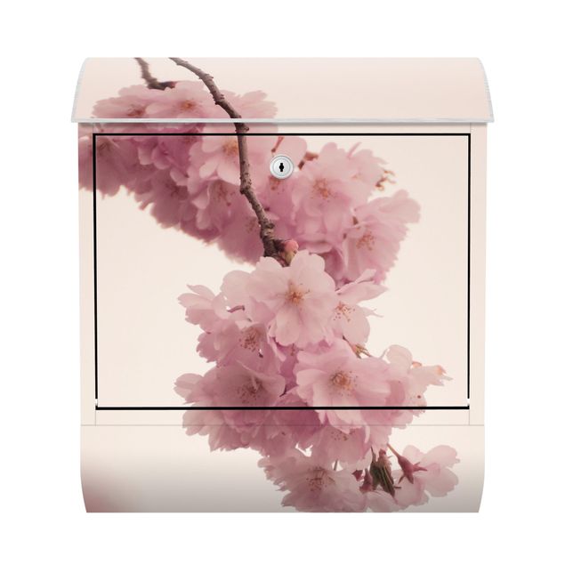 Briefkasten rosa Zartrosane Frühlingsblüte mit Bokeh