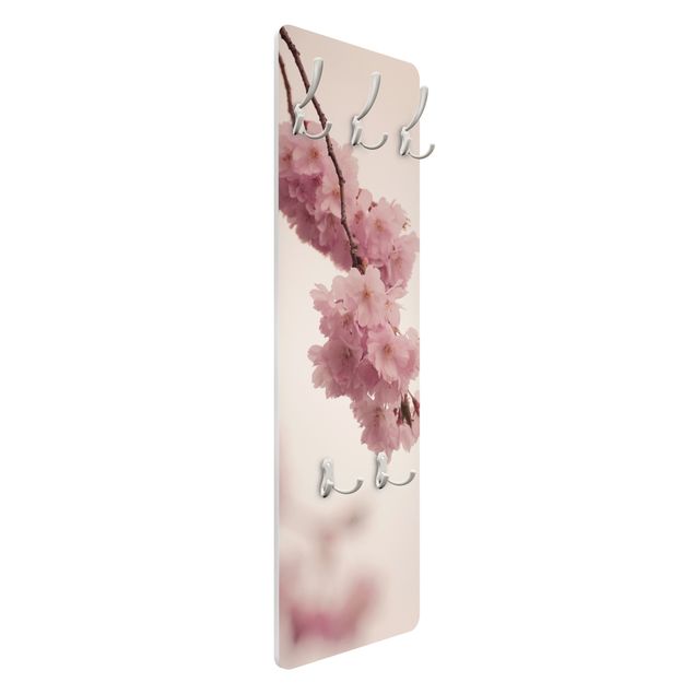 Garderobe - Zartrosane Frühlingsblüte mit Bokeh