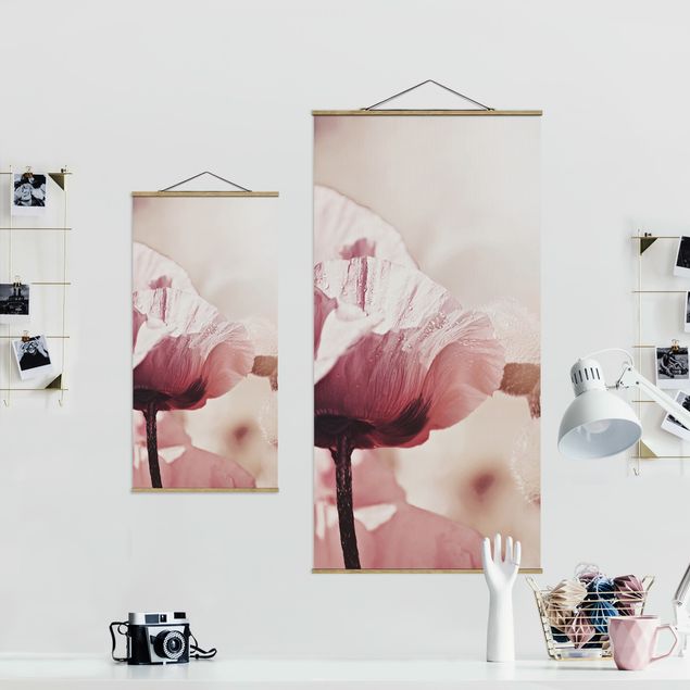 Wandbilder Rosa Zartrosane Mohnblüte mit Wassertropfen