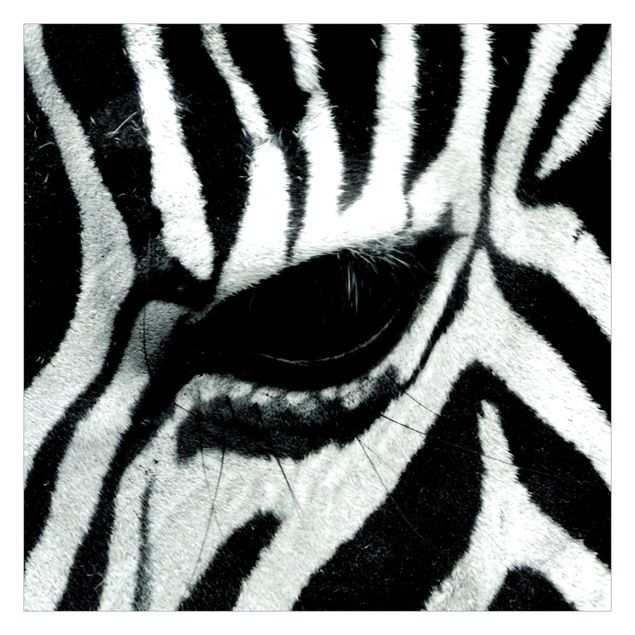Tapete Tiere Zebra Crossing