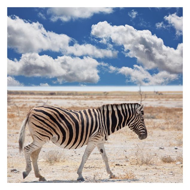 Foto Tapete Zebra in der Savanne