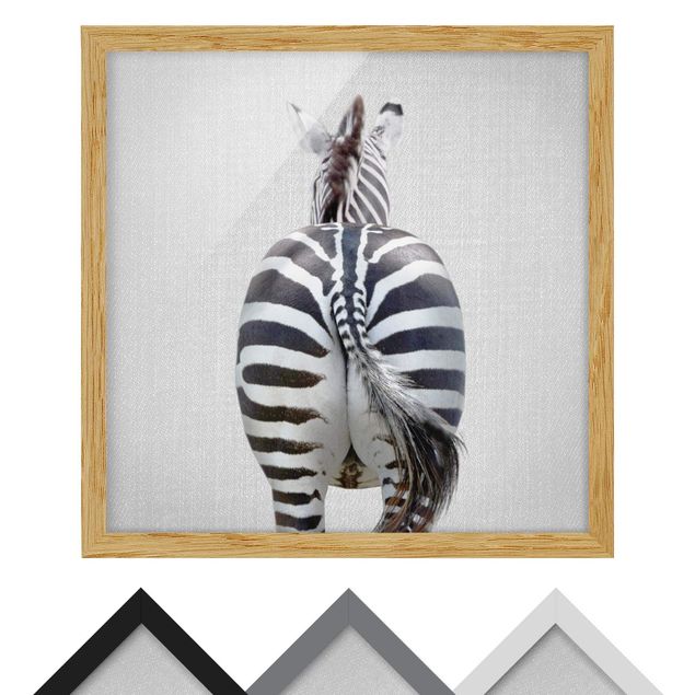 Wandbilder Schwarz-Weiß Zebra von hinten