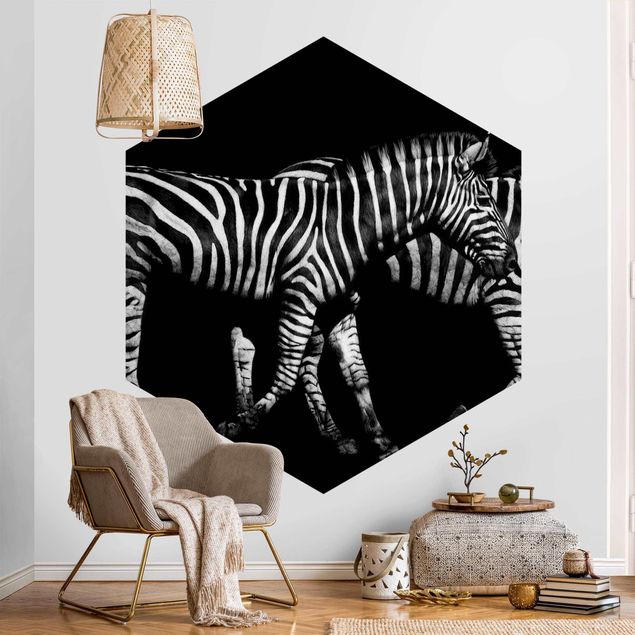 Fototapete modern Zebra vor Schwarz