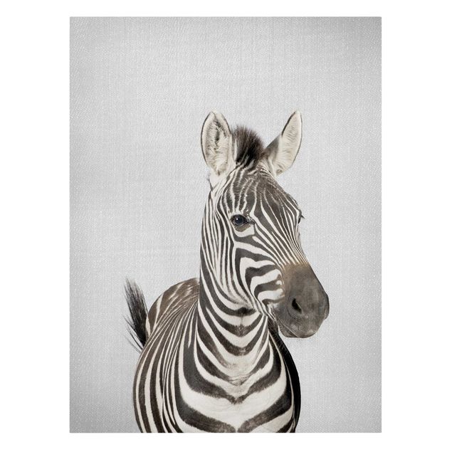 Leinwandbilder Tiere Zebra Zilla