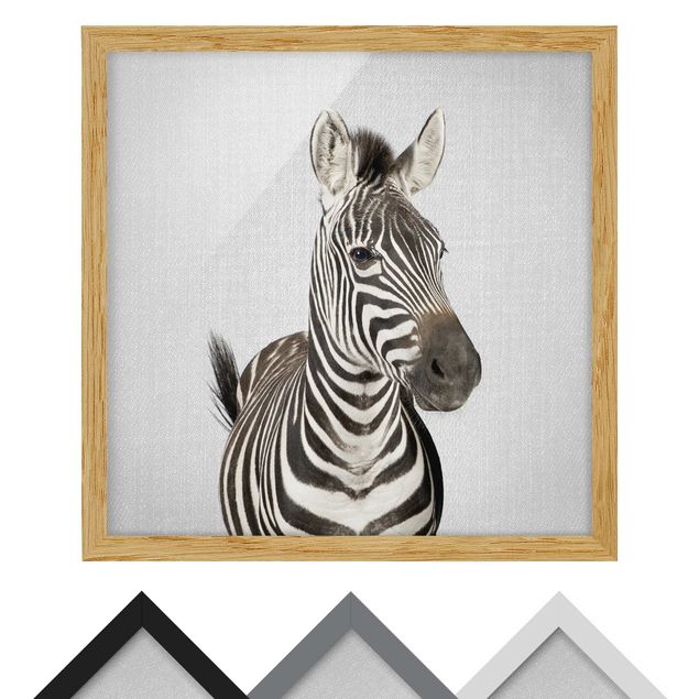 Wandbilder Schwarz-Weiß Zebra Zilla