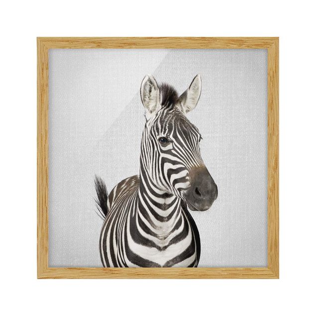 Gerahmte Bilder Tiere Zebra Zilla