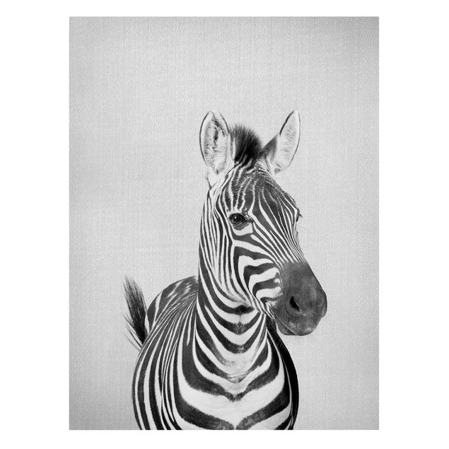 Tierbilder Leinwand Zebra Zilla Schwarz Weiß