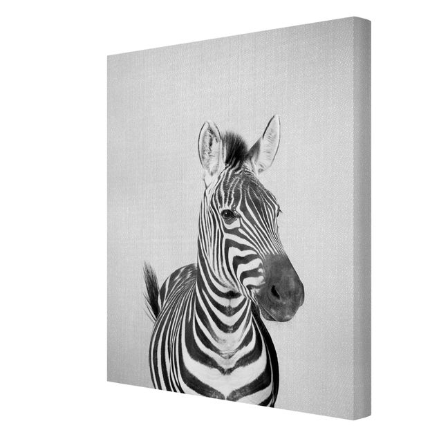 Wandbilder Modern Zebra Zilla Schwarz Weiß