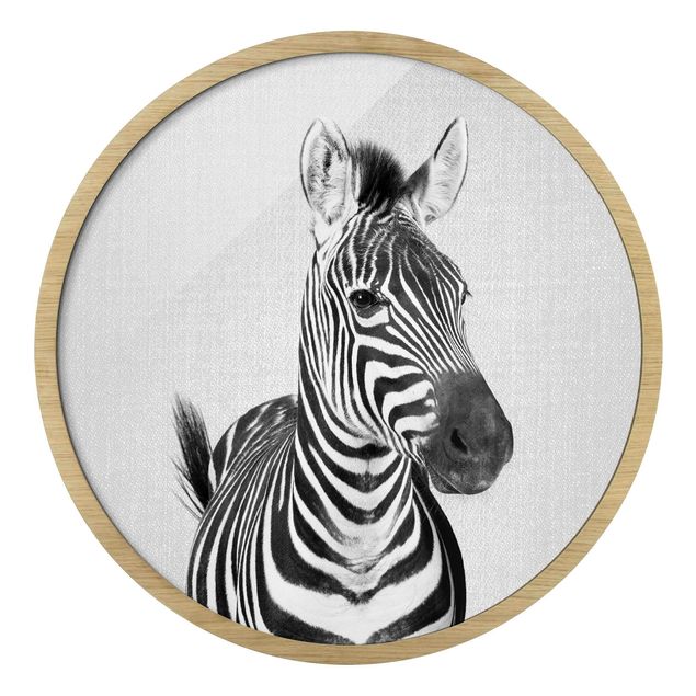 Gerahmte Bilder Tiere Zebra Zilla Schwarz Weiß