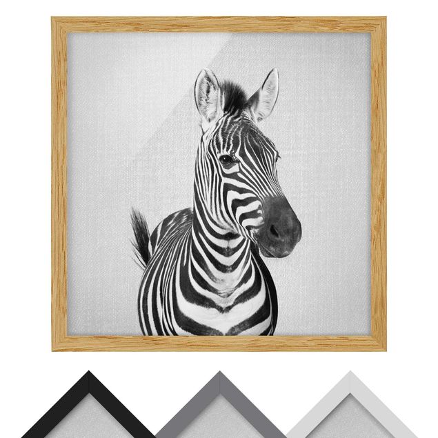 Wandbilder Schwarz-Weiß Zebra Zilla Schwarz Weiß