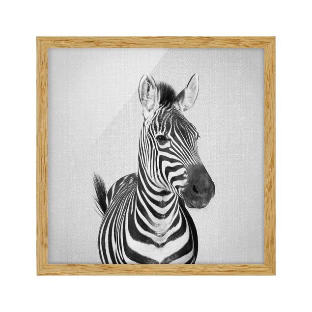 Gerahmte Bilder Tiere Zebra Zilla Schwarz Weiß