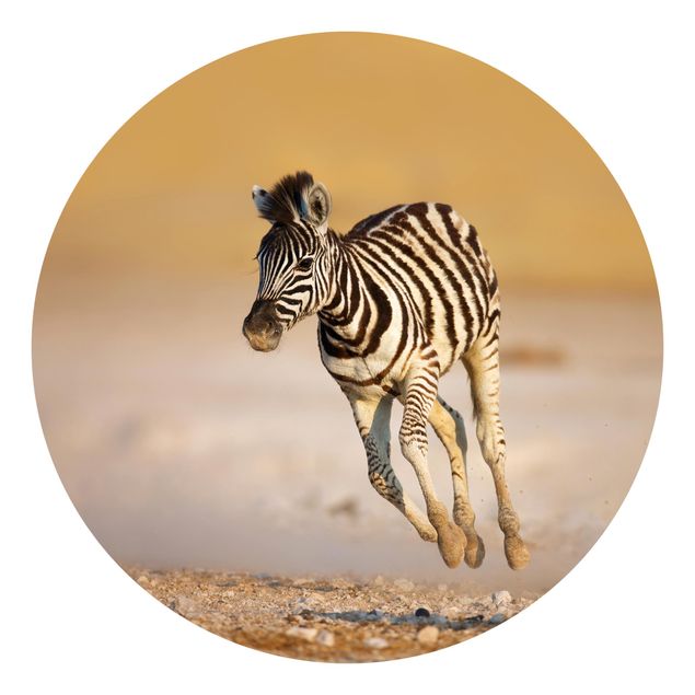 Fototapete Wüstenlandschaft Zebrafohlen