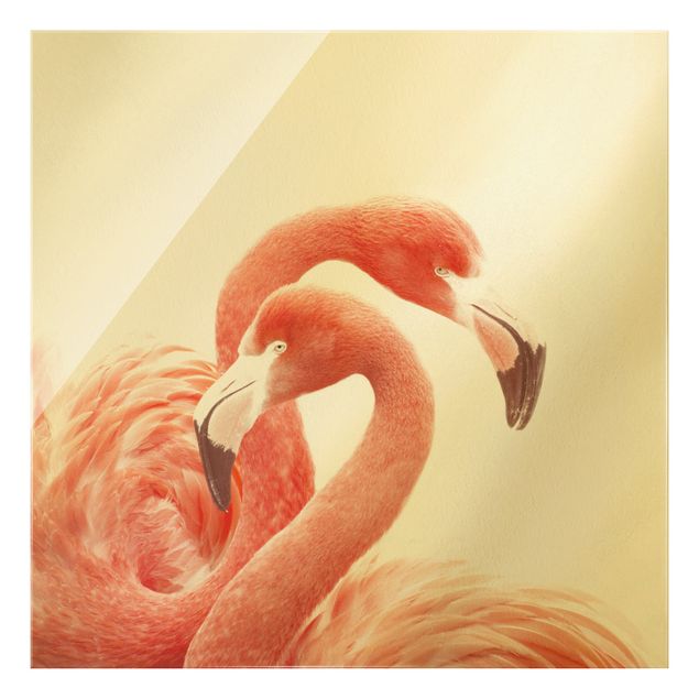 Wandbilder Modern Zwei Flamingos