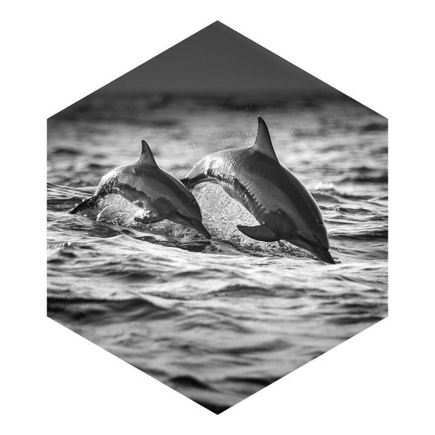 Foto Tapete Zwei springende Delfine