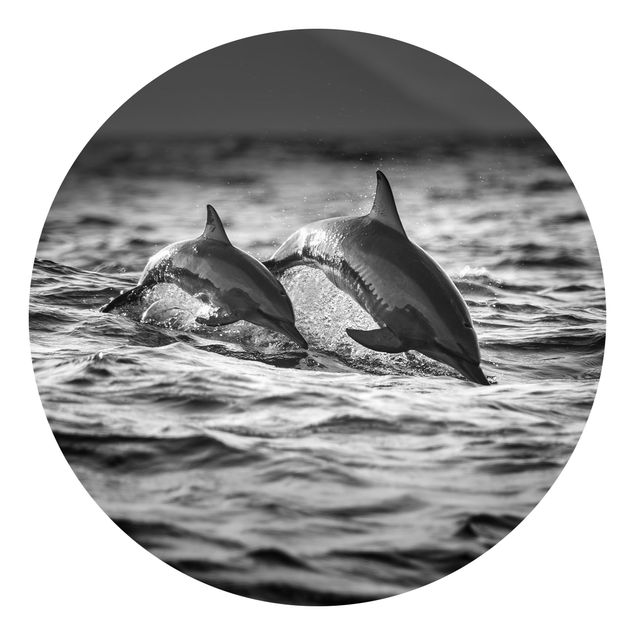 Schwarz-Weiß Tapete Zwei springende Delfine