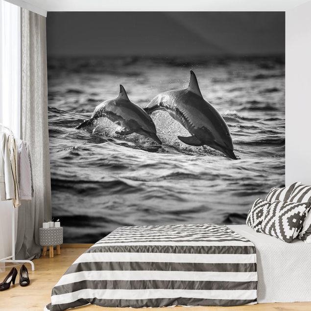 Fototapete modern Zwei springende Delfine