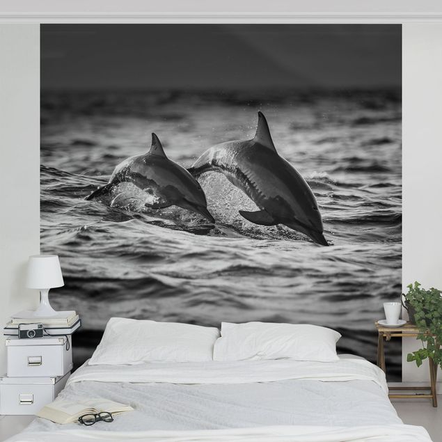 Tapete Schwarz-Weiß Zwei springende Delfine