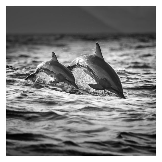Fototapete Zwei springende Delfine