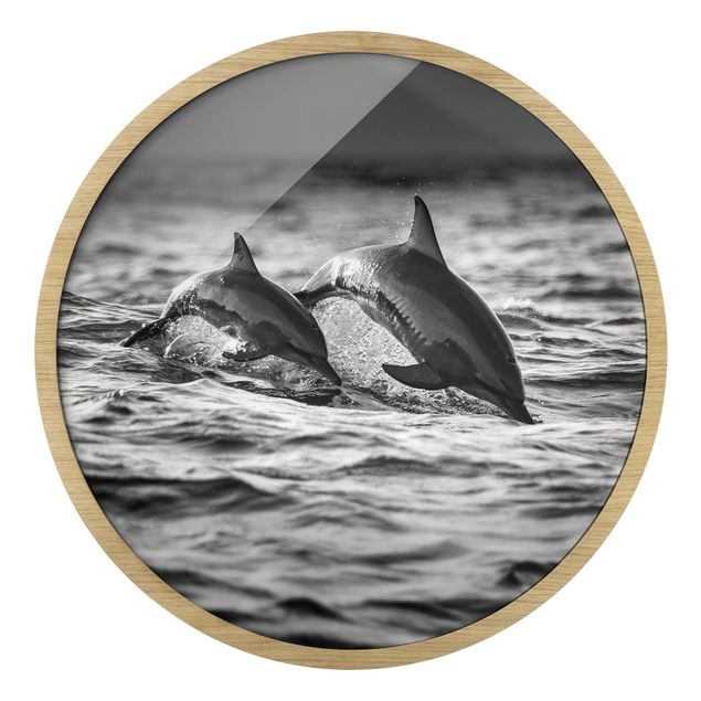 Runde gerahmte Bilder Zwei springende Delfine